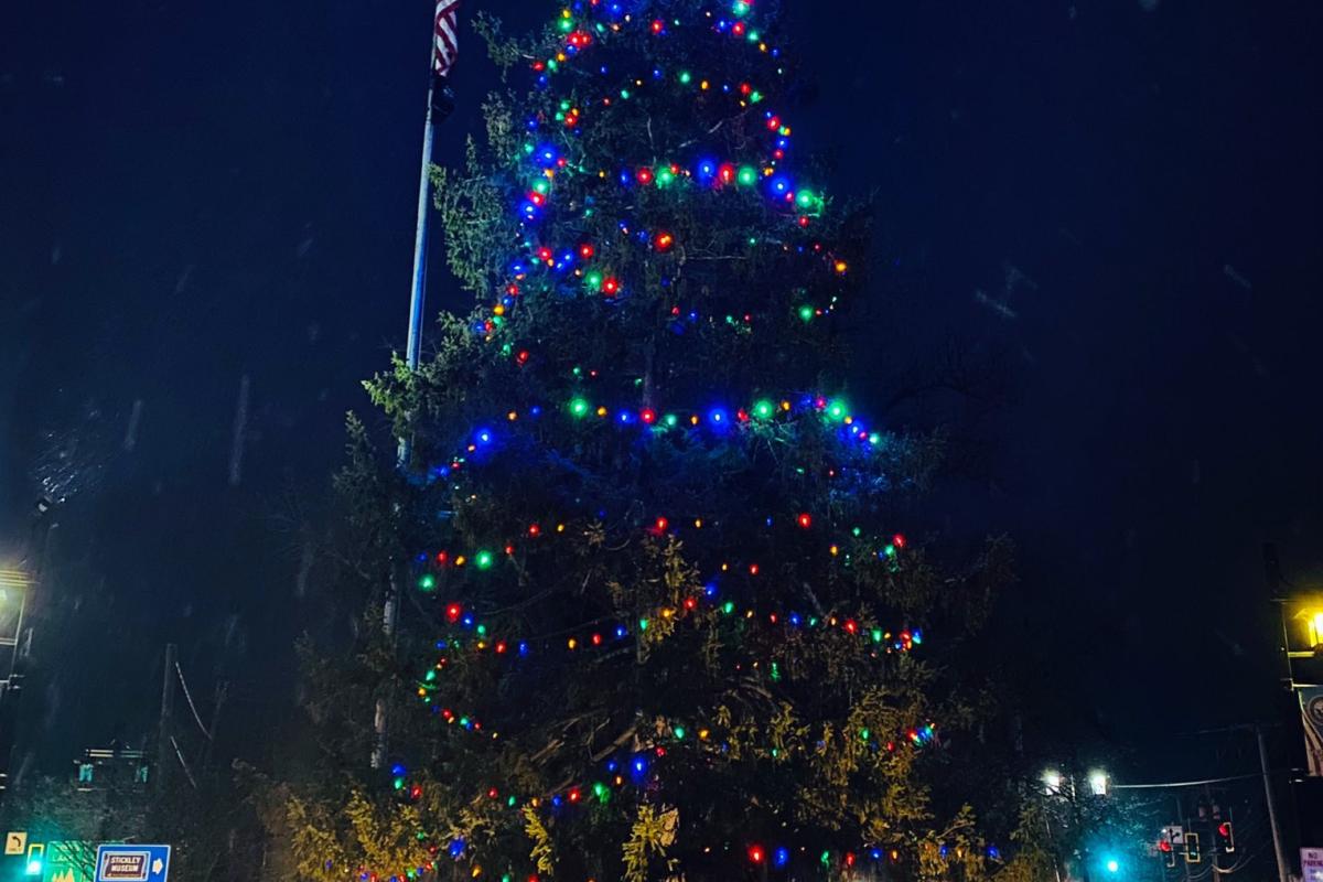 Tree Lighting at Veterans' Park