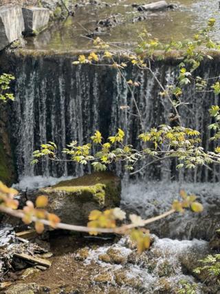 Ledyard Canal Greenaway Waterfall